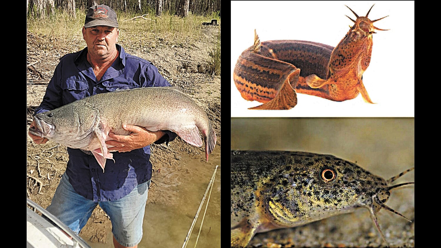 Fishing Report - January 18, 2024