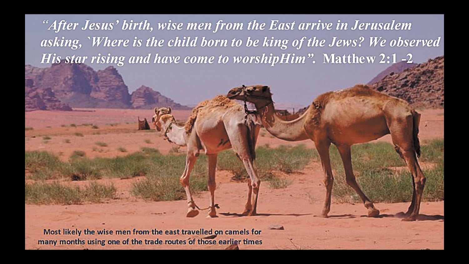 Wise People Still Seek Him