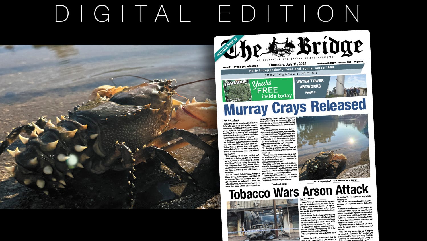 Thursday, July 11, 2024