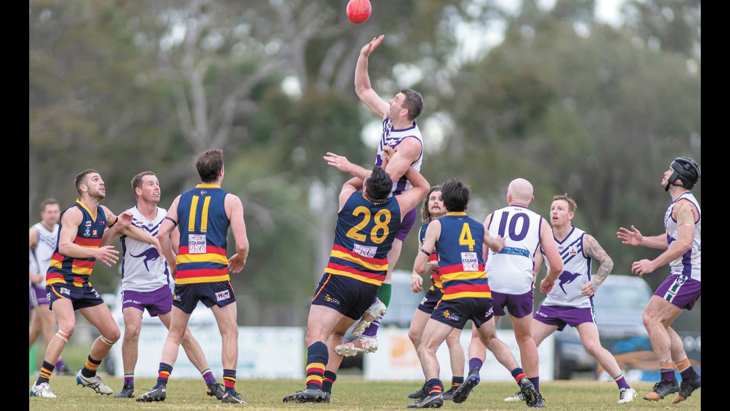 Raiders put up Brave Fight