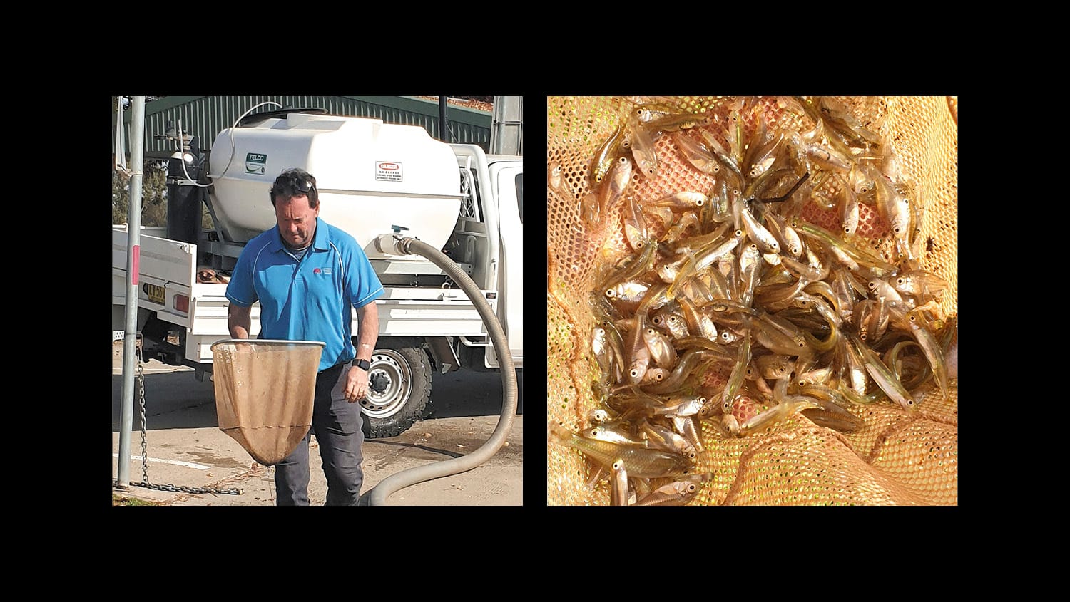 Moulamein Notebook- May 30, 2024
