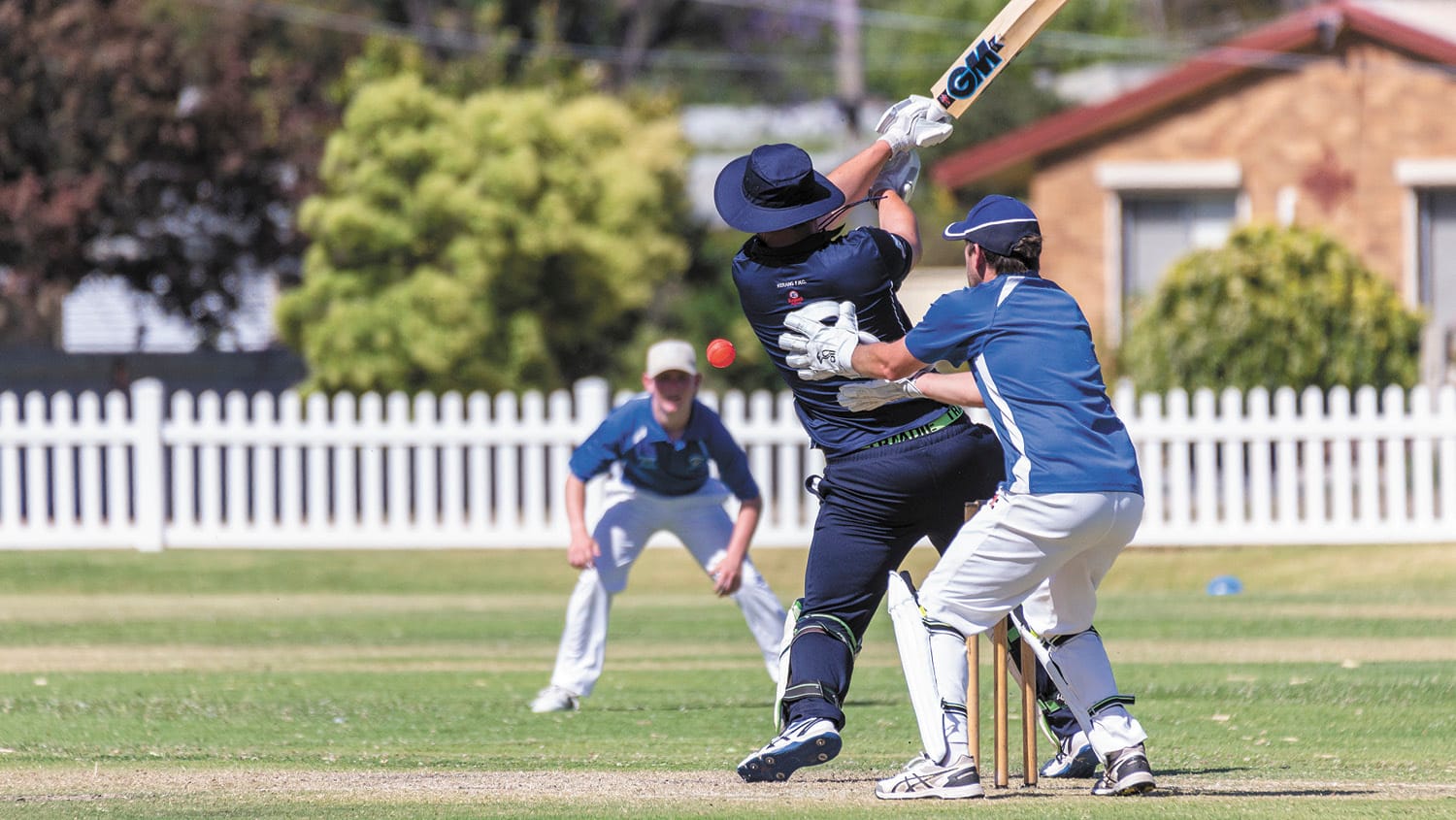 T20 Cricket Returns