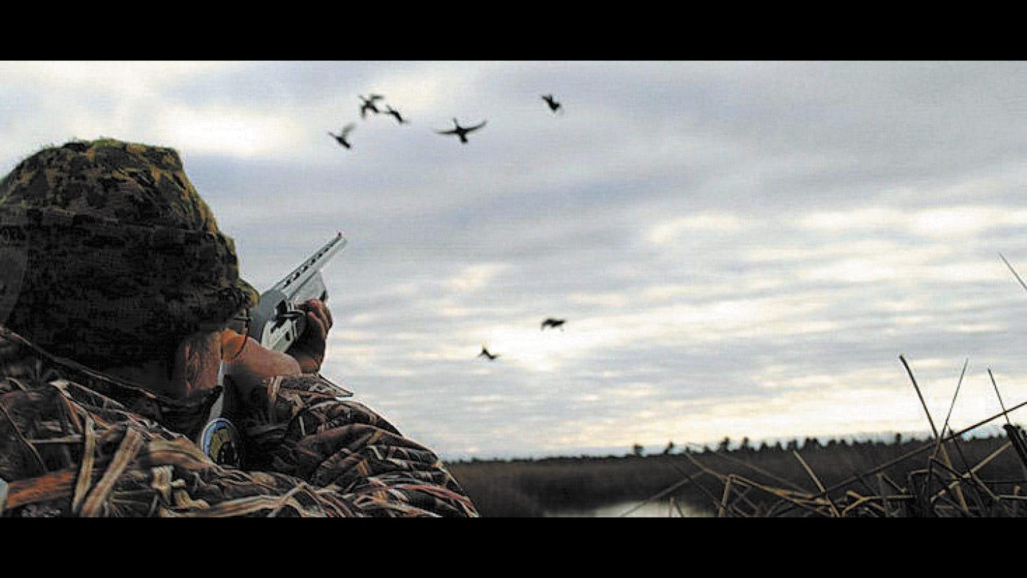 Duck Hunt Decisions Under Scrutiny