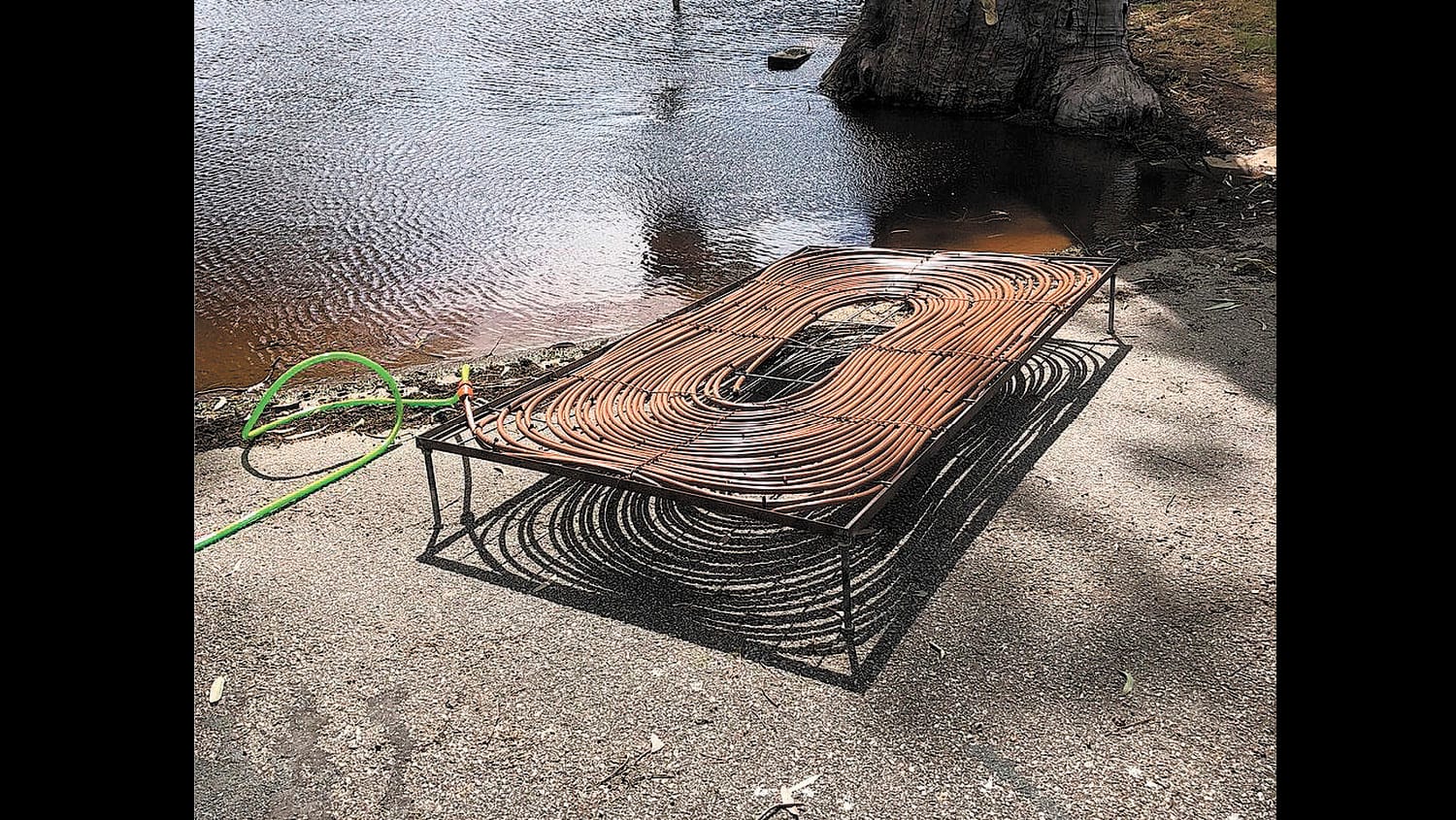 Community Leads Fish Protection