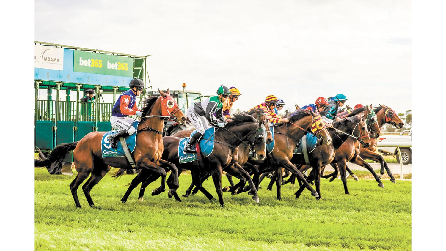 Gunbower Cup