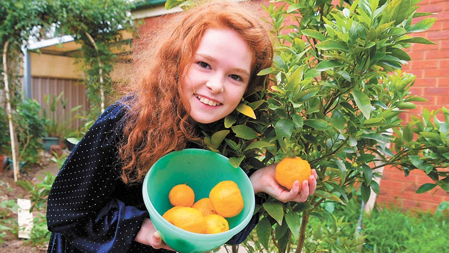 Solar Powered Plants…