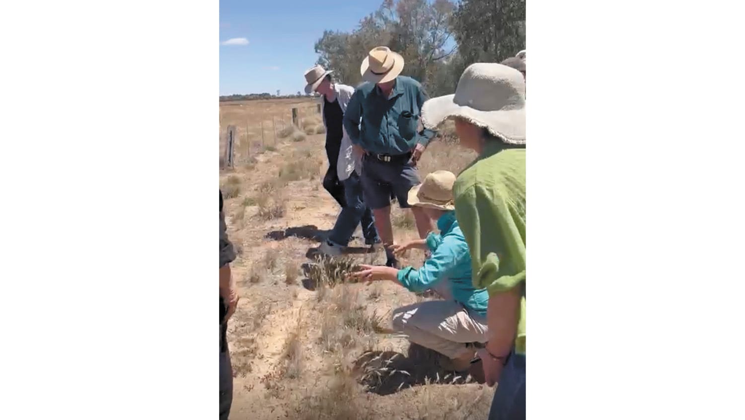 Gunbower farmer turns old drain into thriving wetland haven