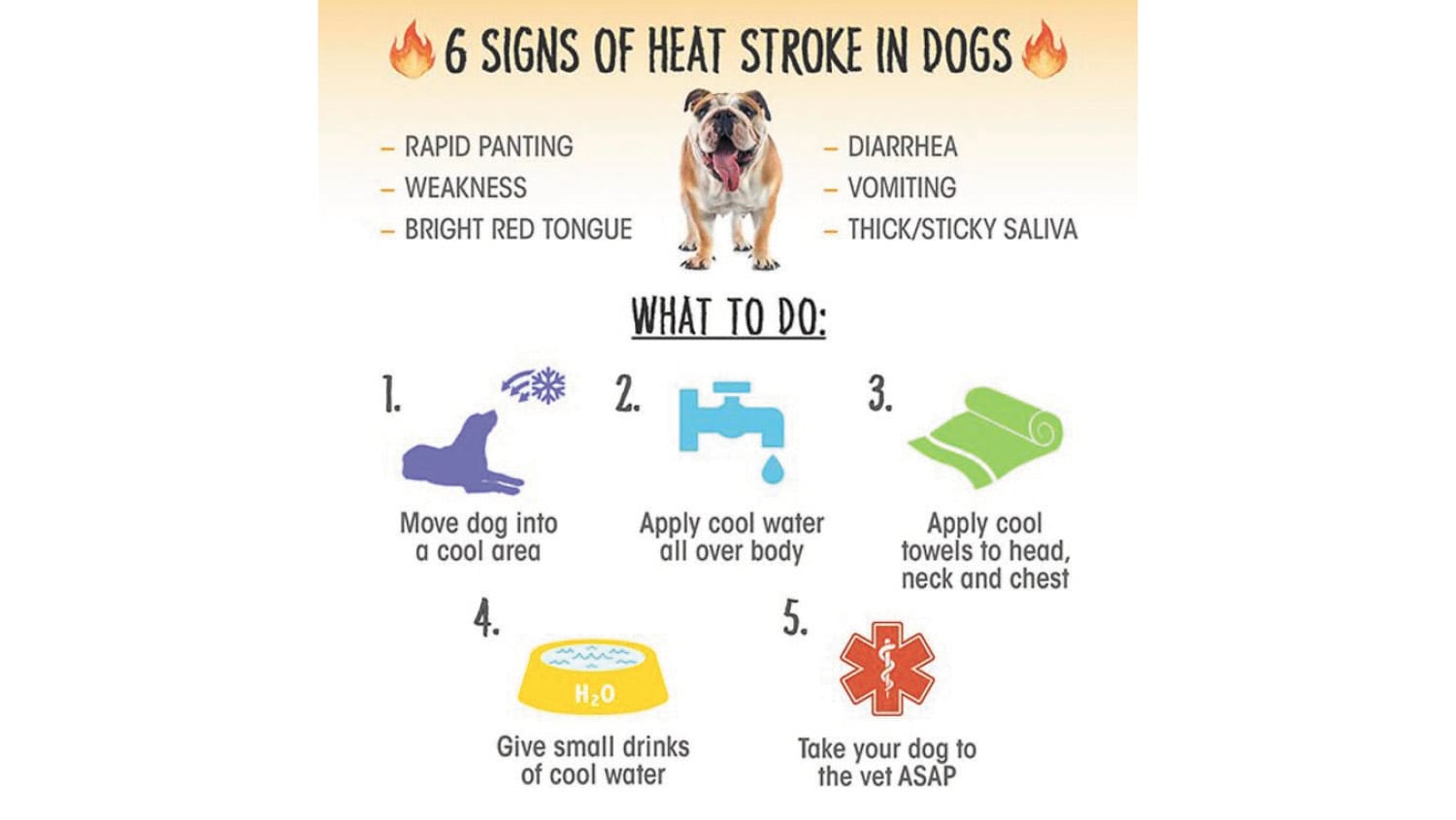 The Heat is on – Don’t forget your fur babies