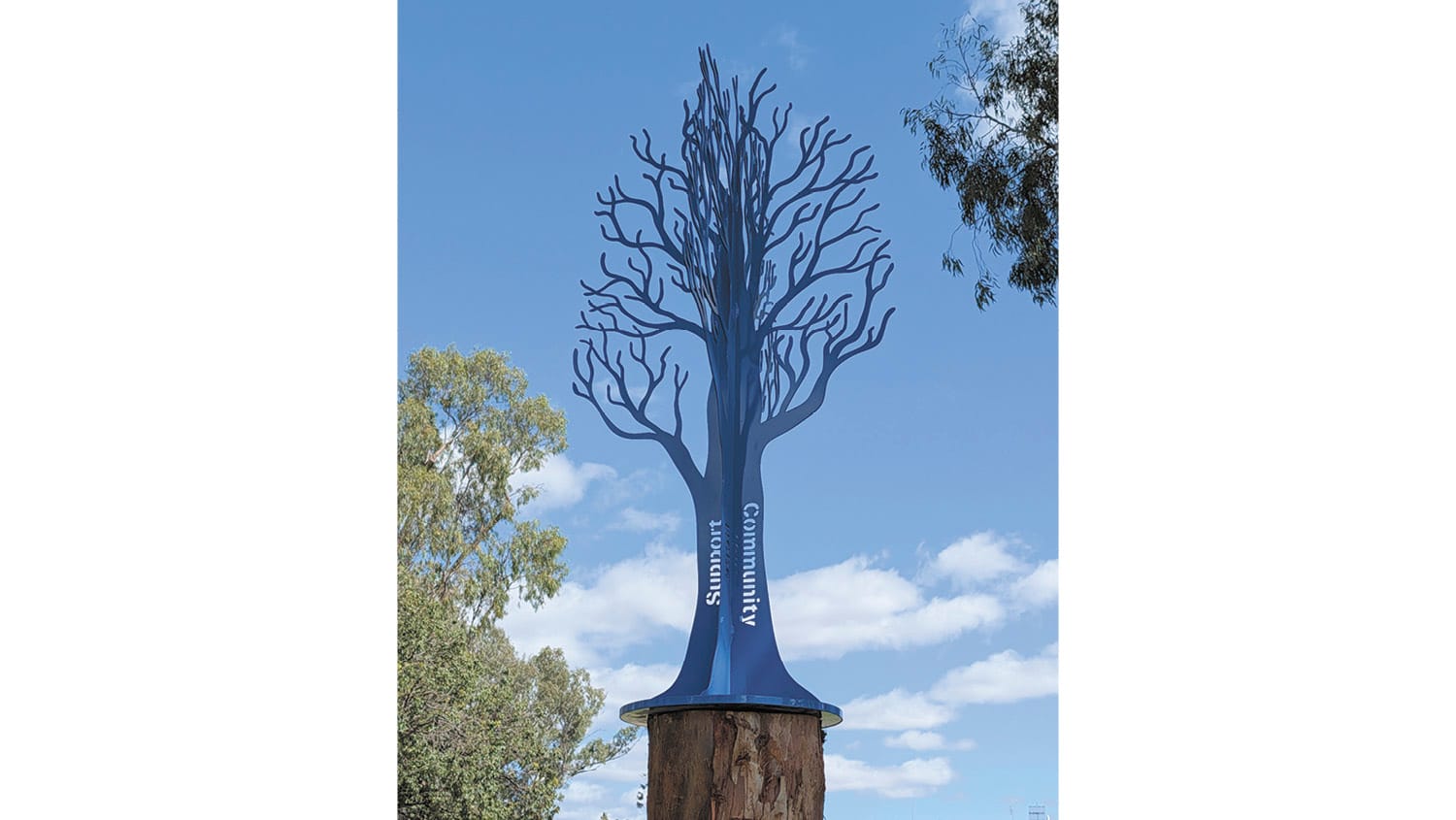 Barham Koondrook Lions Club Blue Tree Project Proceeding Nicely