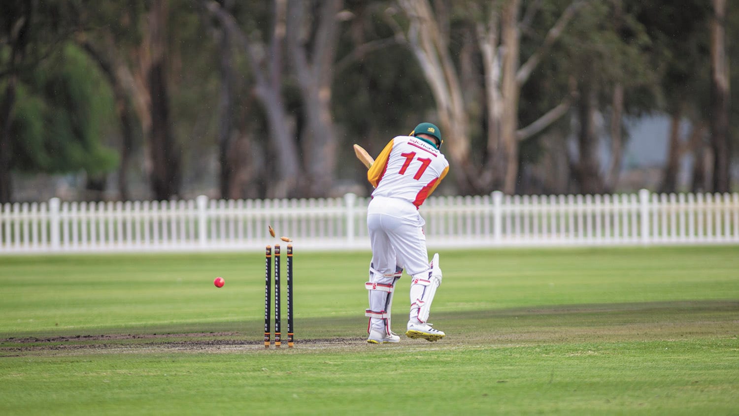 Veterans Cricket Carnival Comes to Town