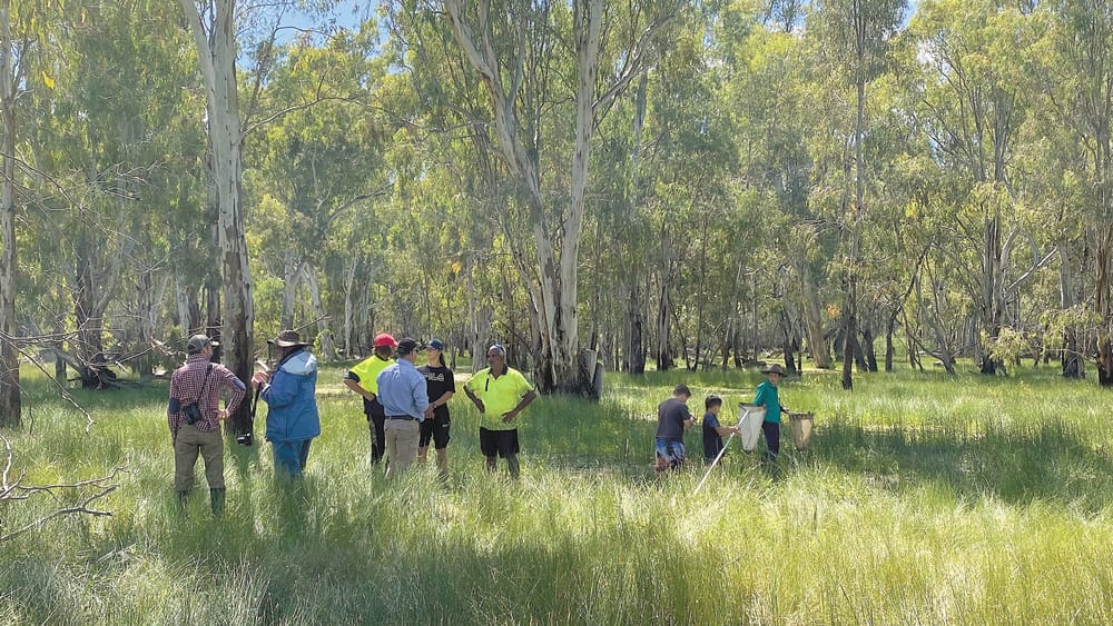 Koondrook–Perricoota Forest Watering Information Session post image