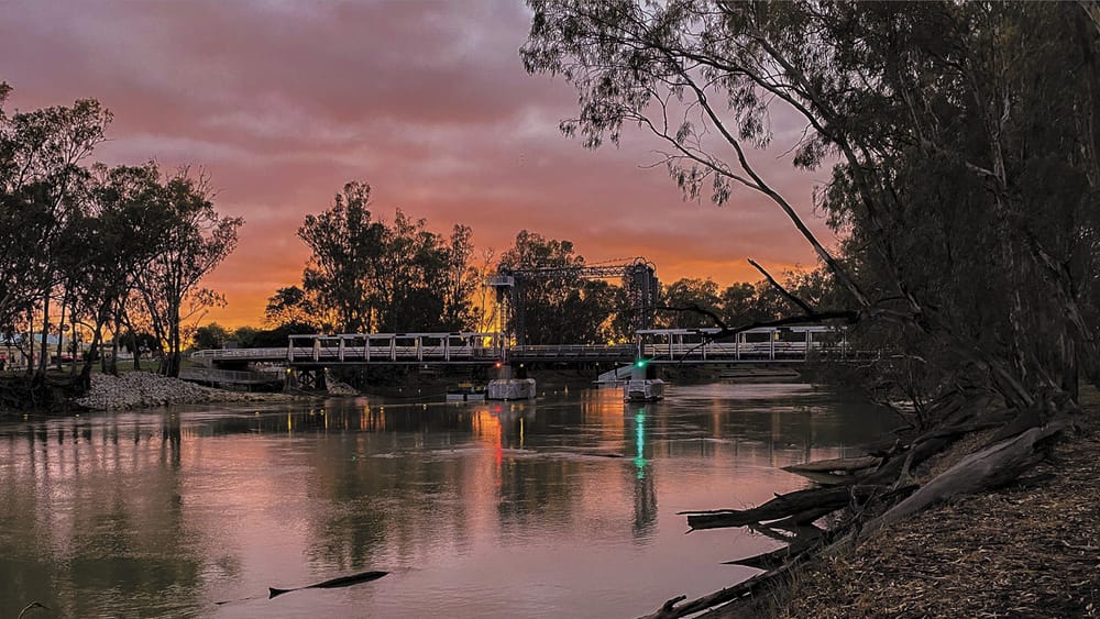 Rain Delights post image