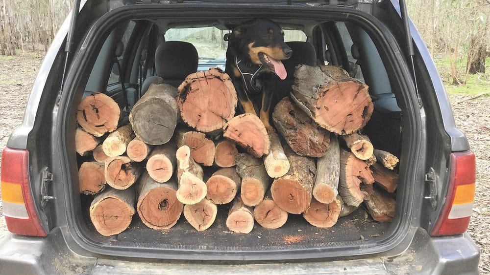 Koondrook Firewood Offence post image