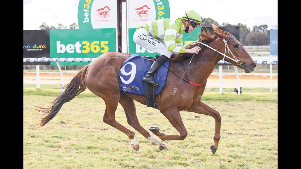 ‘Super Quick Love’ demonstrates budding McNeil talent post image