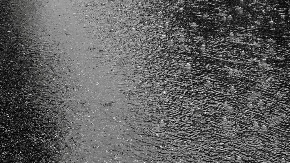 Rain Reigns Supreme post image