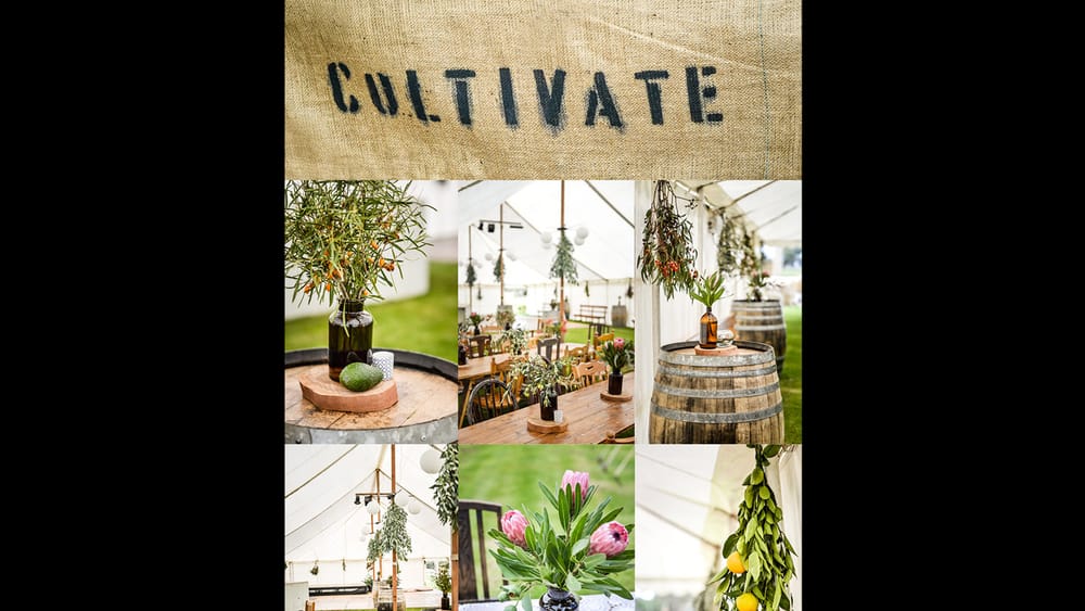 Cultivate Cancelled post image
