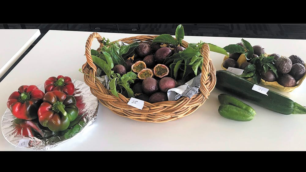 Garden Society - March 23, 2023 post image