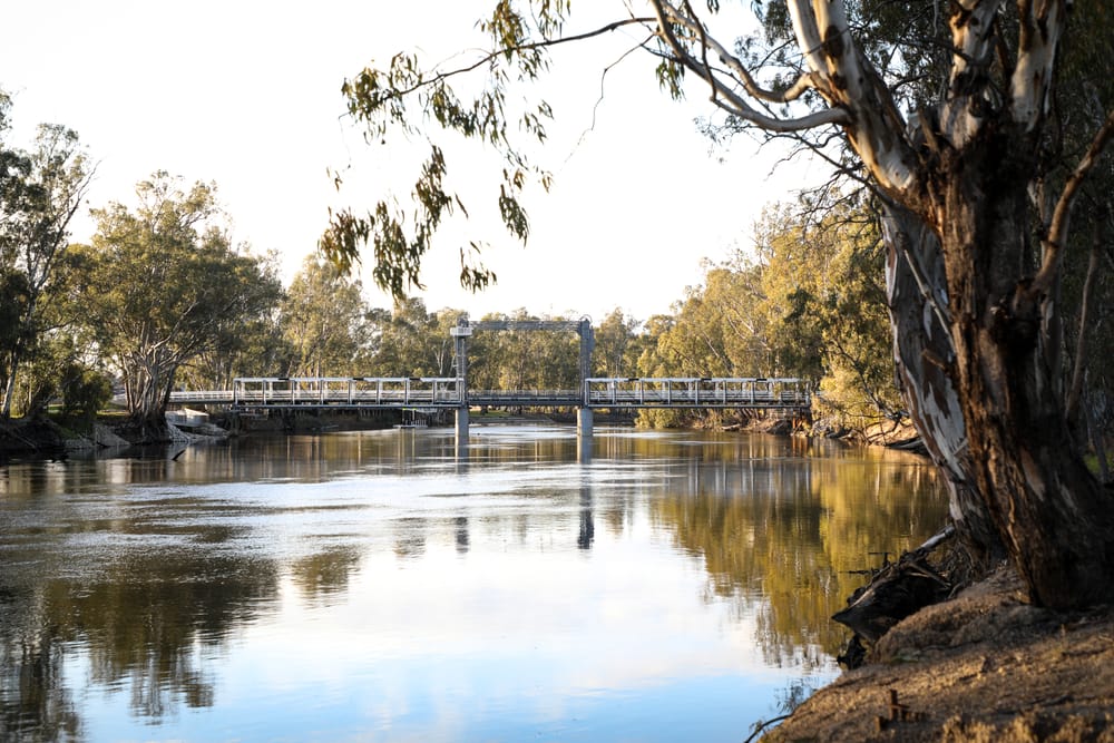 Inquiry into FPH Final Report post image