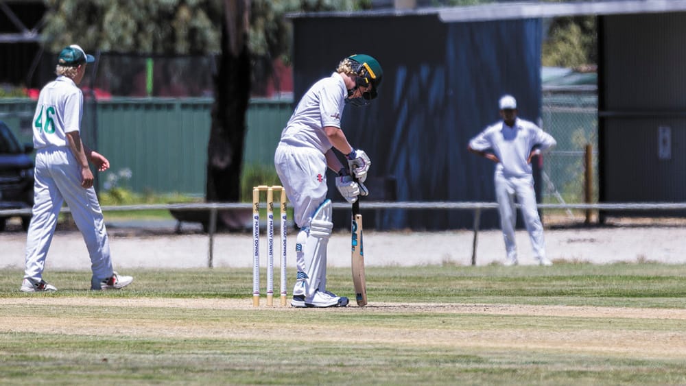 A Week of Cricket post image