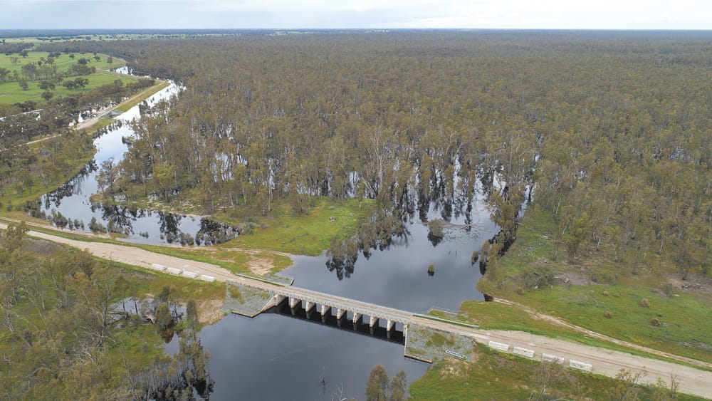 Local Approach Leads the Way post image