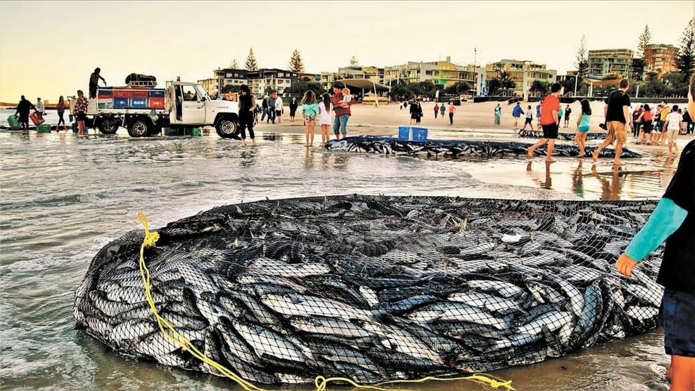 Breaking Nets and Sinking Boats post image