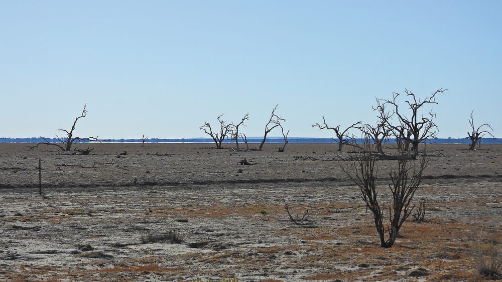 Dire Warning for Southern Basin post image