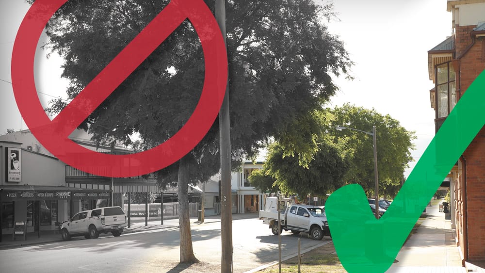 Segregation Week post image