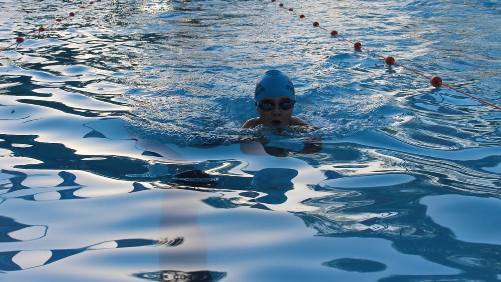 Bar-rook Swimming Club post image