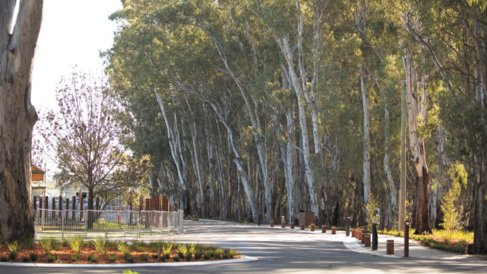 Bubble’s Bounty post image