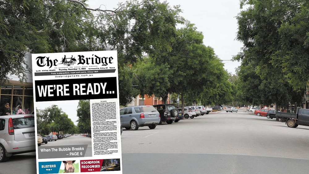 Thursday, November 19, 2020 post image