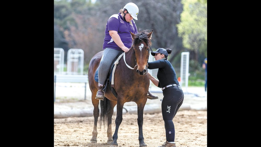 Pony Club School a Success post image