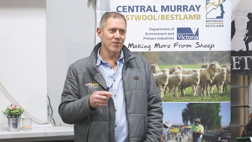 Ewe See What’s Going On Here? post image