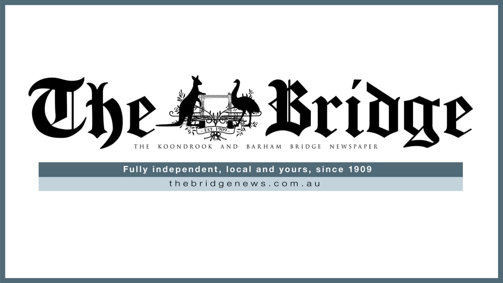 A League of Their Own post image