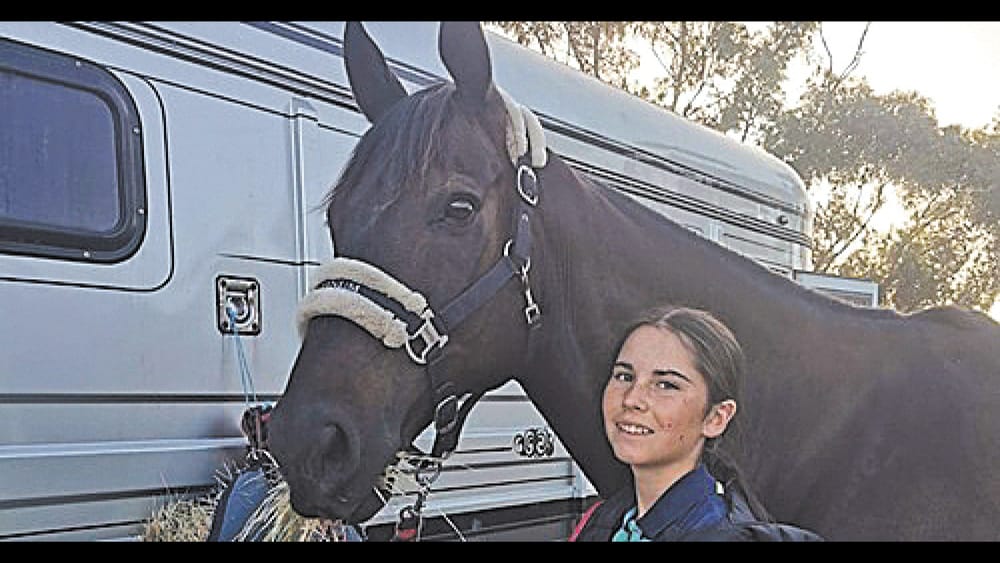 Costly Colic post image