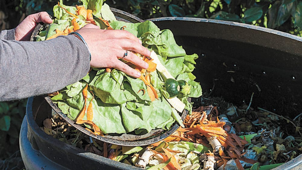 FOGO All Go post image