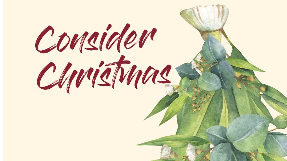 Consider Christmas (week 2) post image