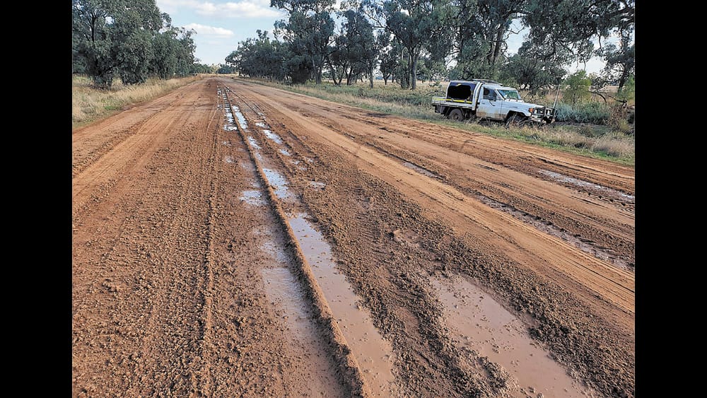 Perricoota Peril post image