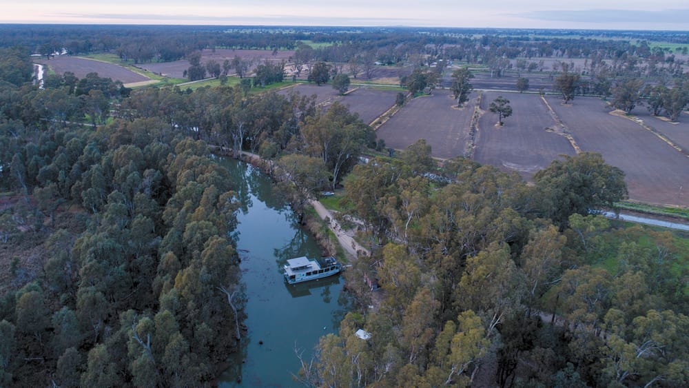 Piggery Decision Postponed post image