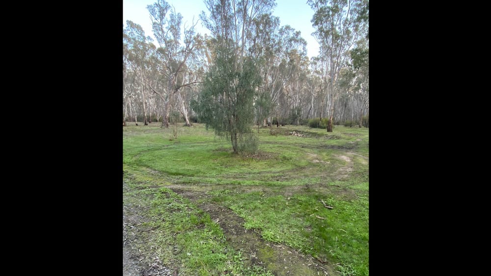 Told You So? post image