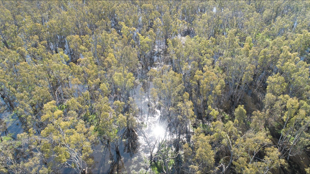 Funding Fears Holt Projects post image