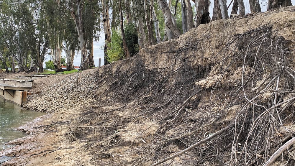 Struck Out: Class Action Heats Up post image