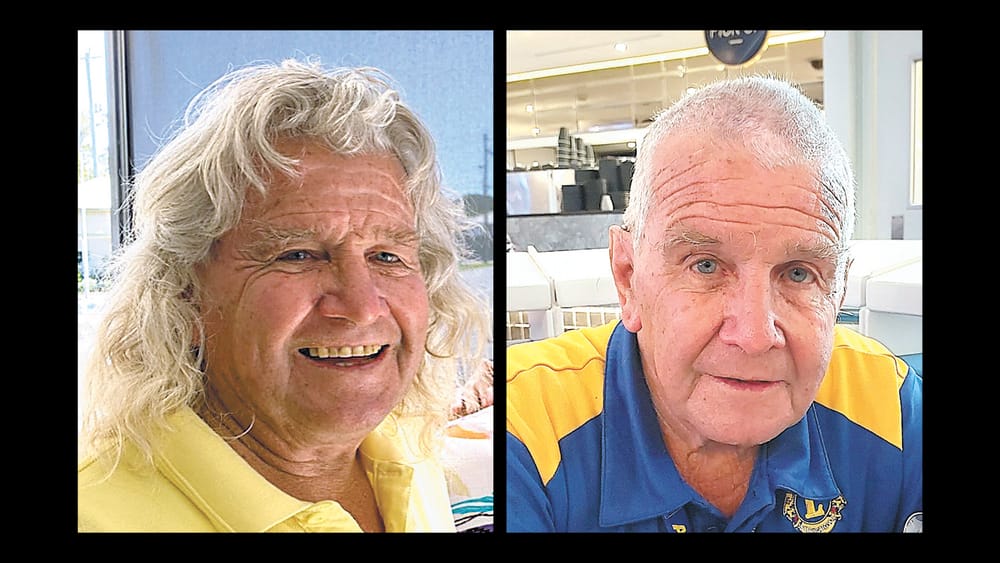 Lion Loses His Locks post image