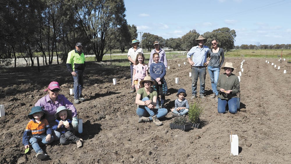 Putting Down Roots at Micro-Abattoir post image