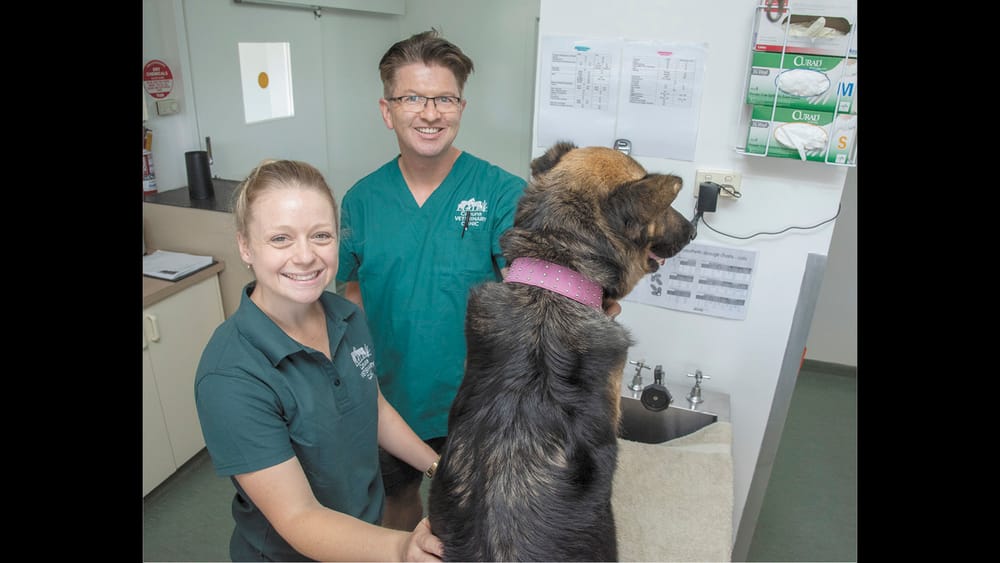 Cohuna Vet Clinic Returns post image