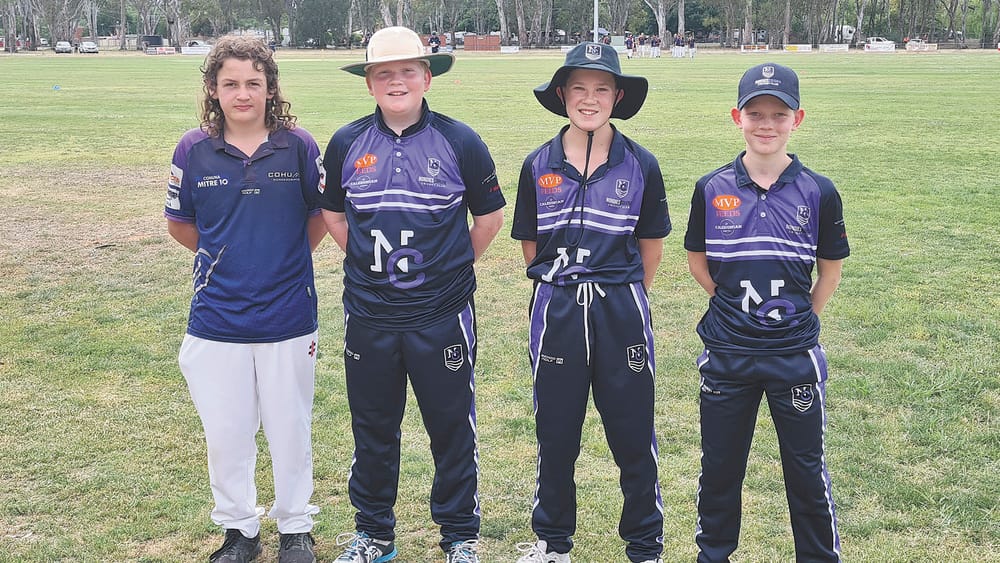New Nondies Cohuna Cricket post image