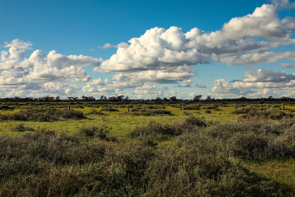 From The Editor’s Desk... post image