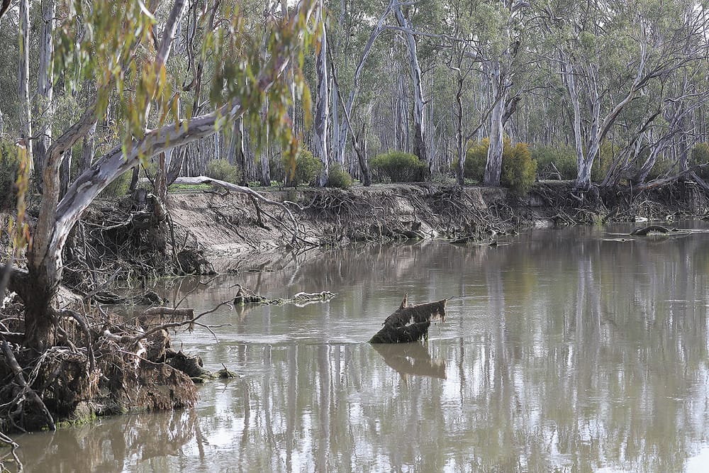 Water Wars: Labor and Greens Unite to Drain Rural Communities post image