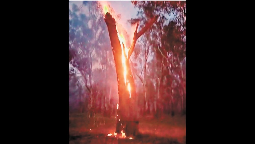 Burning Questions post image