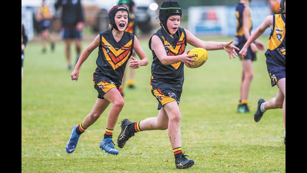 LGFNC Under 12s post image