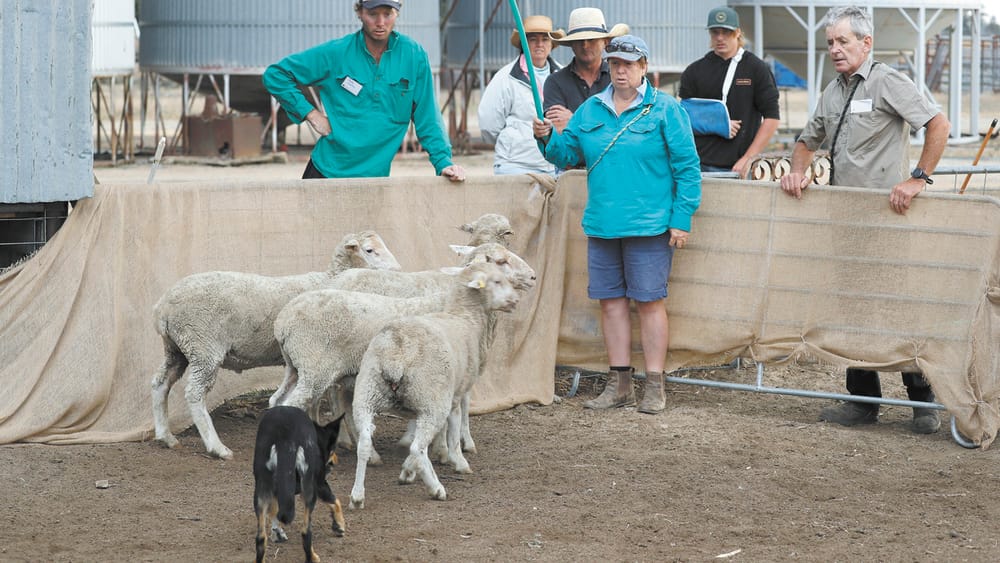 Indispensable Workmates post image